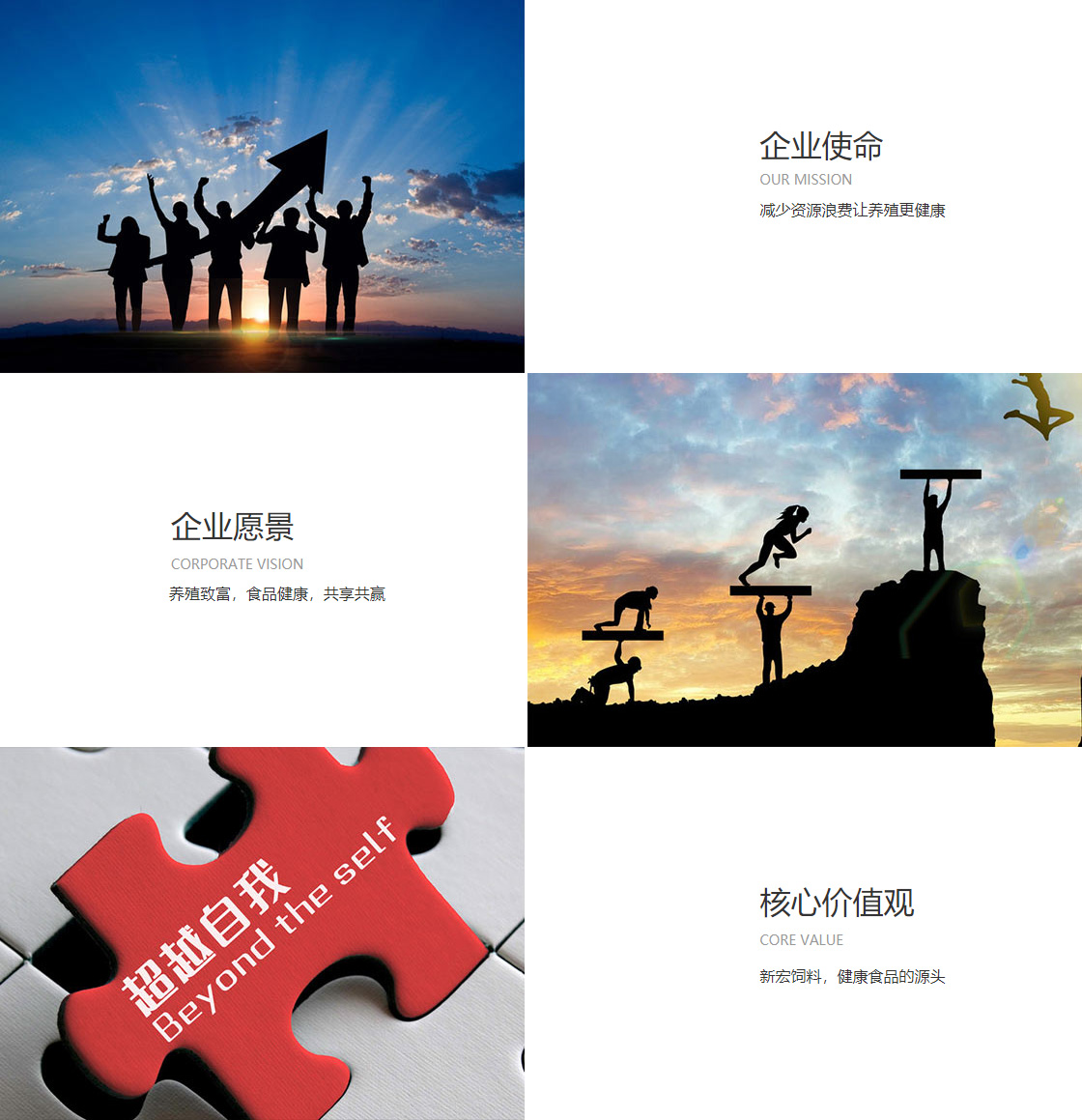 亚洲城官网(图1)